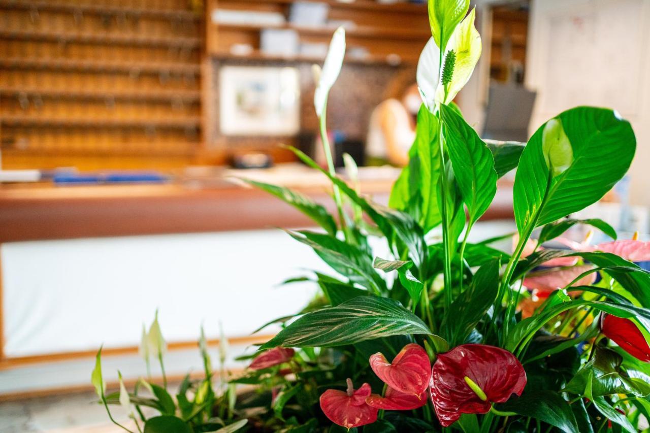 Hotel Stacchini Cesenatico Εξωτερικό φωτογραφία